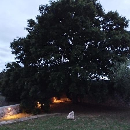 Trulli La Quercia Del Nonno Villa Locorotondo Bagian luar foto